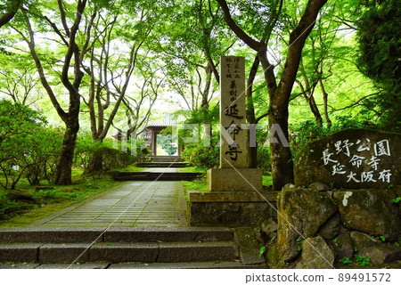 Enmei-ji Temple (early summer, early morning, Sanmon, stone pavement, maple) Enmei-ji Temple (early summer, early morning, Sanmon, stone pavement, maple) 89491572