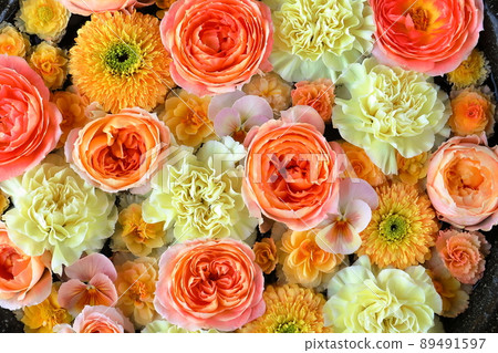 埼玉縣川越市大賀谷町川越水上樂園 89491597