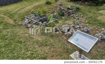 Continued 100 Fine Castles in Japan Katsuren Castle Utami Cigar 89492176