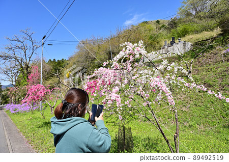 Azumachosayado / Ohata Hanamomo Kaido, a woman shooting with a smartphone, Midori City, Gunma Prefecture Azumachosayado / Ohata Hanamomo Kaido, a woman shooting with a smartphone, Midori City, Gunma Prefecture 89492519