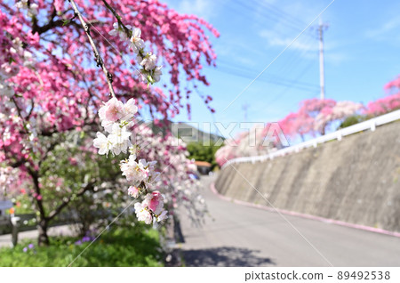 Azumachosayado / Ohata Hanamomo Highway Midori City, Gunma Prefecture Azumachosayado / Ohata Hanamomo Highway Midori City, Gunma Prefecture 89492538