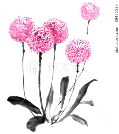 Allium drawn with ink painting technique 89492559