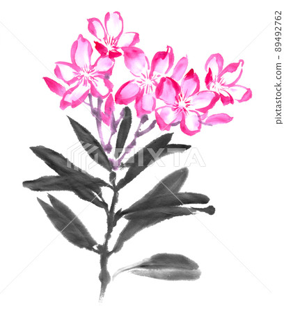 用水墨畫技術繪製的夾竹桃 89492762