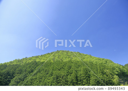 Fresh green mountain on a sunny day Fresh green mountain on a sunny day 89493343