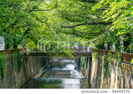 [東京]新綠目黑川（5月） 89494570