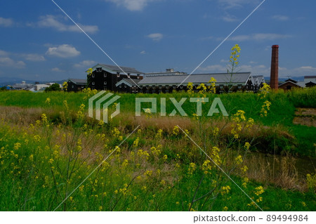 春天來到了伏見，松本酒造 89494984