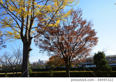 I went to the site of Komine Castle # 113 I went to the site of Komine Castle # 113 89495322