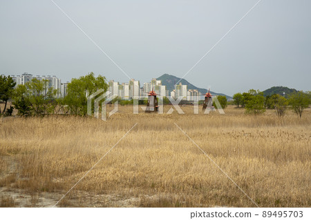 Sora wetland ecological park 89495703