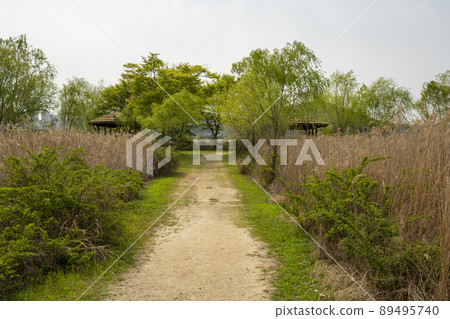 索拉濕地生態公園 索拉濕地生態公園 89495740