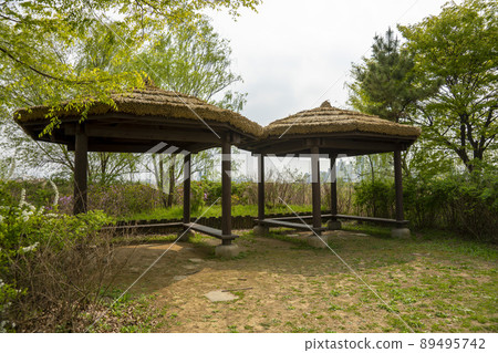 索拉濕地生態公園 89495742