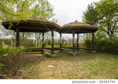 索拉濕地生態公園 索拉濕地生態公園 89495744