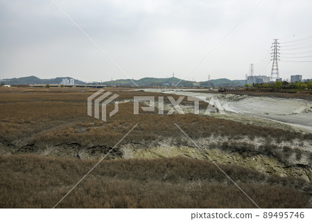 Sora wetland ecological park Sora wetland ecological park 89495746
