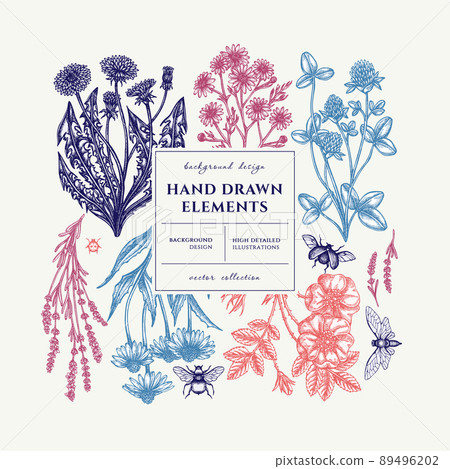Tea herbs square card or invitation design. Frame design with chamomile, cinnamon rose, etc. 89496202
