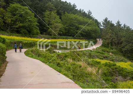 青山道,慢城 青山道,慢城 89496405