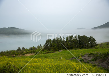 Cheongsando, Slow City 89496411