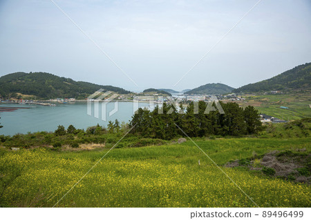 Cheongsando, Slow City 89496499