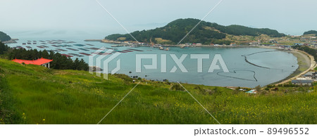 青山道,慢城 青山道,慢城 89496552