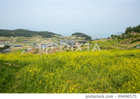 青山道,慢城 青山道,慢城 89496575