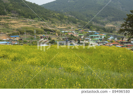 青山道,慢城 青山道,慢城 89496580