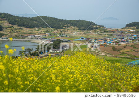 青山道，慢城 89496586