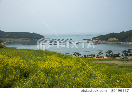 青山道，慢城 89496587