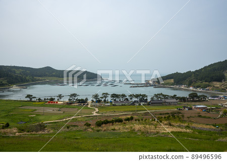 青山道,慢城 青山道,慢城 89496596