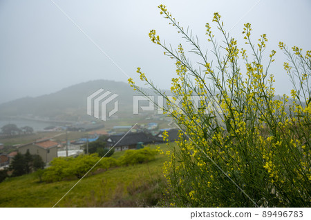 青山道,慢城 青山道,慢城 89496783