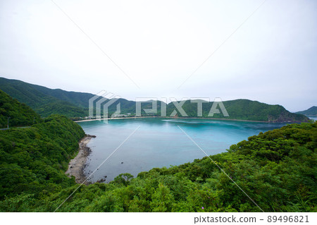 [Amami Oshima] View from Manenzaki Observatory (Katetsu Beach) 89496821