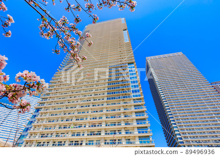 Cityscape of Harumi, Chuo-ku, Tokyo Tower 位於 Harumi Pier 的公寓 89496936