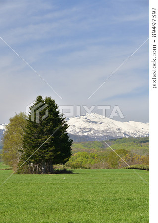 春天在北海道瀨名町小倉山拍攝卡里巴山的風景 89497392