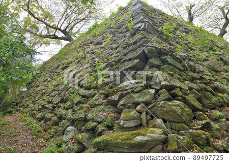 Awa "Tokushima Castle" Honmaru stone wall Awa "Tokushima Castle" Honmaru stone wall 89497725