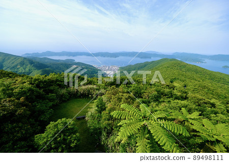 [Amami Oshima] Kochiyama Observatory 89498111