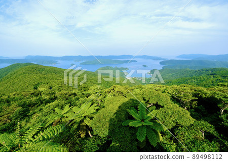 [Amami Oshima] Kochiyama Observatory 89498112