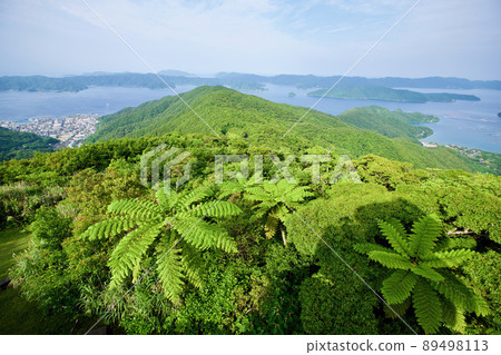 [奄美大島] 高知山展望台 89498113