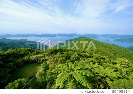 [奄美大島] 高知山展望台 89498114