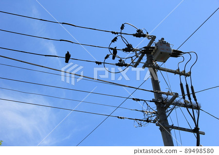 Two "crows" on an electric wire 89498580