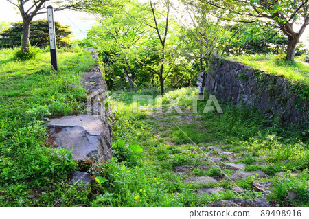 Yonago Castle Continued 100 Fine Castles in Japan 89498916