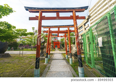 土佐稻荷神社（大阪市西區北堀江）2022年初夏 89499303