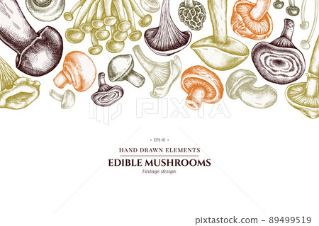 Design with pastel colored oyster mushroom, champignon, honey agaric, etc. 89499519