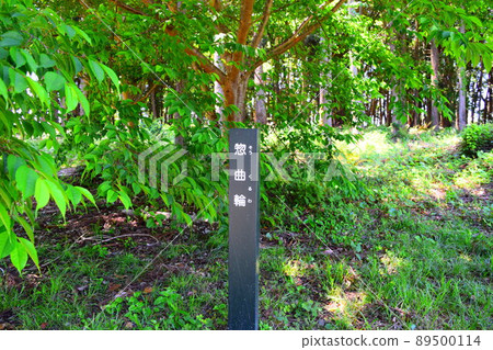 諏訪原城繼續日本100座精美城堡 89500114