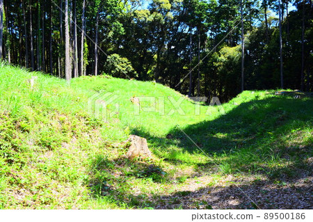 Suwahara Castle Continued 100 Fine Castles in Japan 89500186