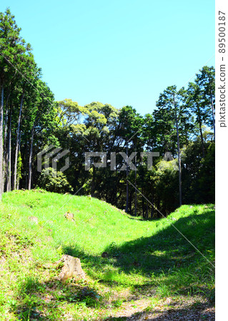 Suwahara Castle Continued 100 Fine Castles in Japan 89500187