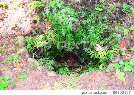 Suwahara Castle Continued 100 Fine Castles in Japan 89500197