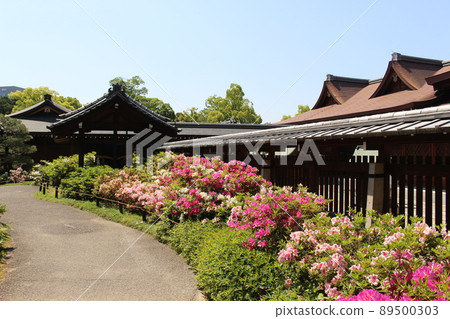 京都市伏見區城南宮、武田站、近鐵京都線、杜鵑花、杜鵑花、重要文化財產 89500303