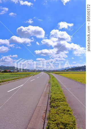 《Hyogo Prefecture》 Tamba Sasayama City Rural scenery, looking toward Shinoyama Castle Ruins from Kawakita district 《Hyogo Prefecture》 Tamba Sasayama City Rural scenery, looking toward Shinoyama Castle Ruins from Kawakita district 89500372