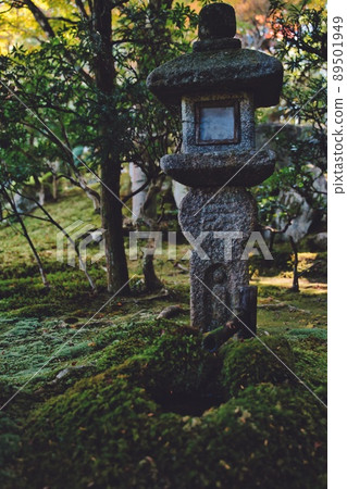 用超廣角鏡頭拍攝的森林神社#6 用超廣角鏡頭拍攝的森林神社#6 89501949