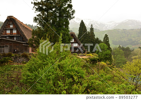 Shirakawago Shirakawago 89503277