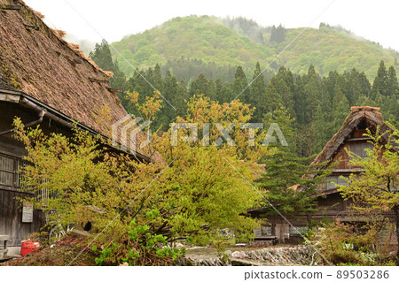 Shirakawago 89503286