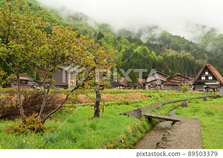 Shirakawago 89503379