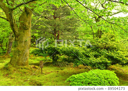 Kanazawa · Kenrokuen Kanazawa · Kenrokuen 89504173